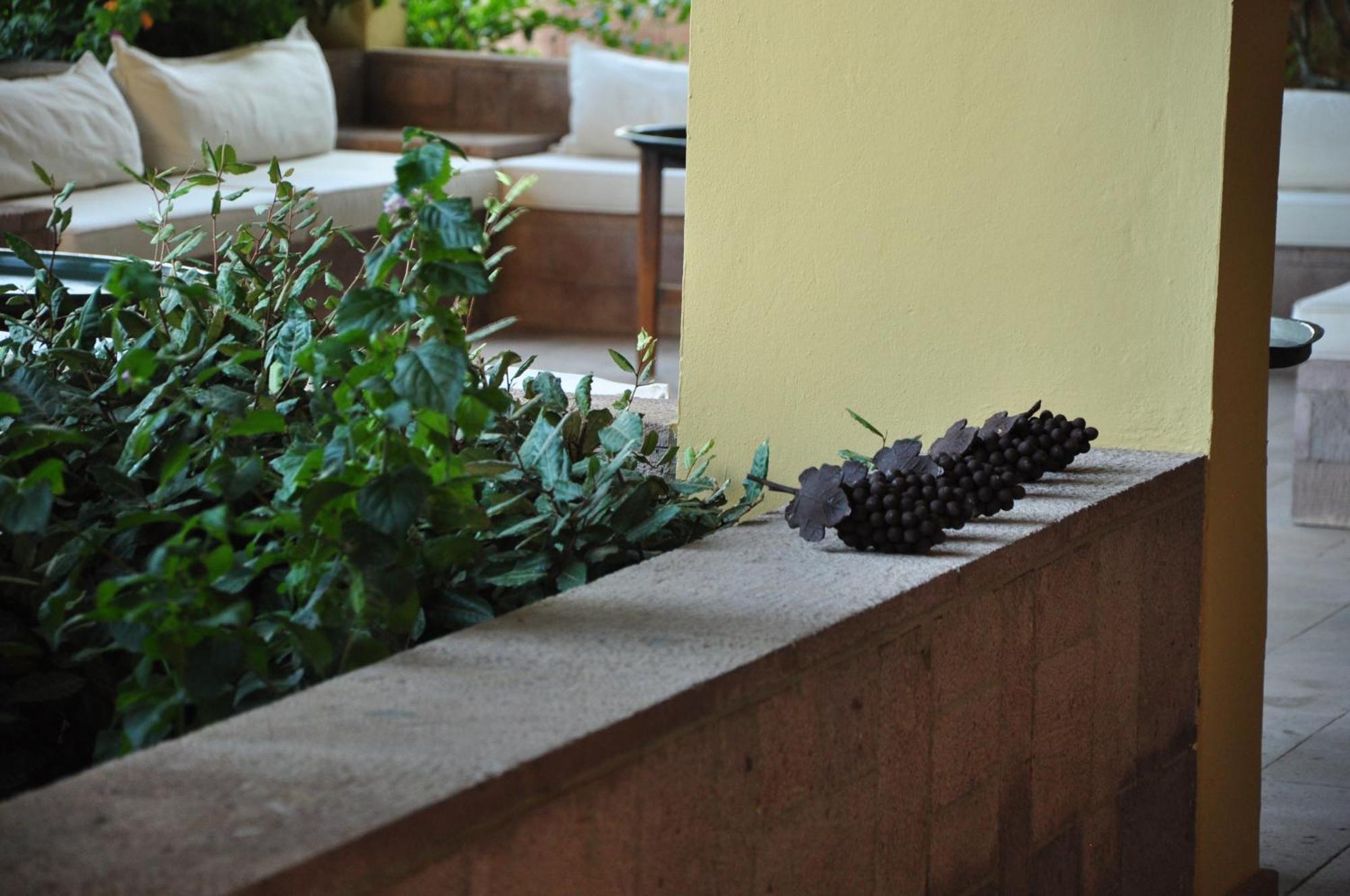 Palm Court Suites Ayvalı Exterior foto